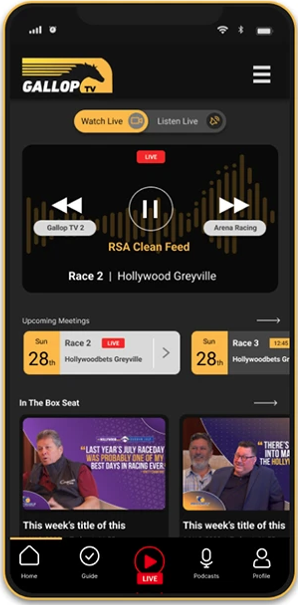 GallopTV, audio-only mode